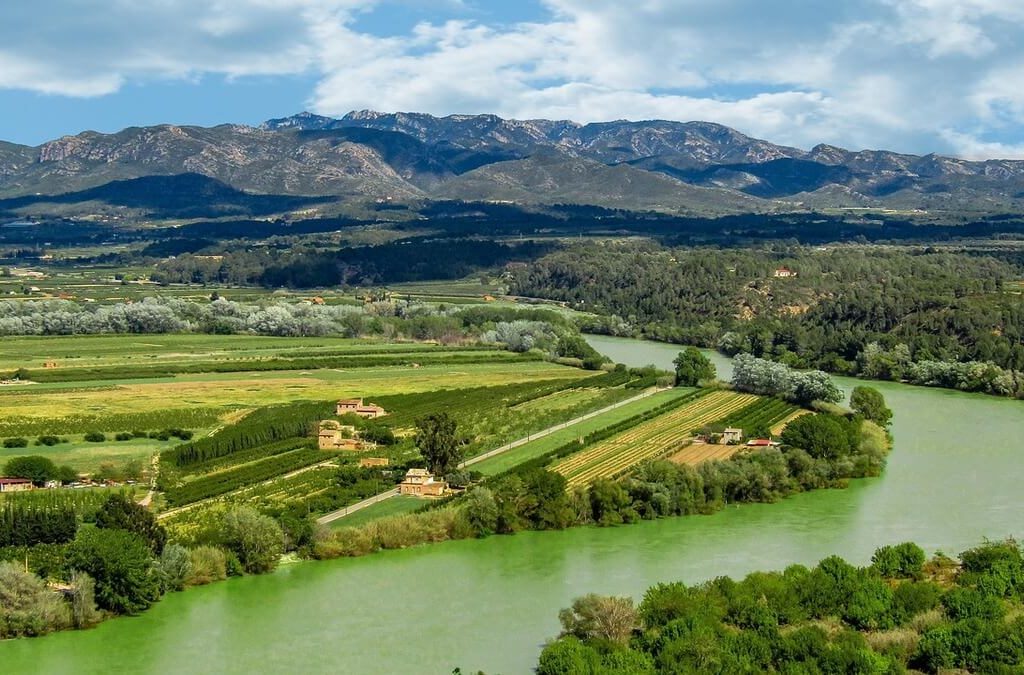 Trade-offs and synergies in river-coastal restoration for the Ebro case (Spanish Mediterranean)