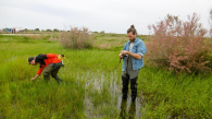 Monitoring biodiversity in Gediz delta © Doğa Derneği