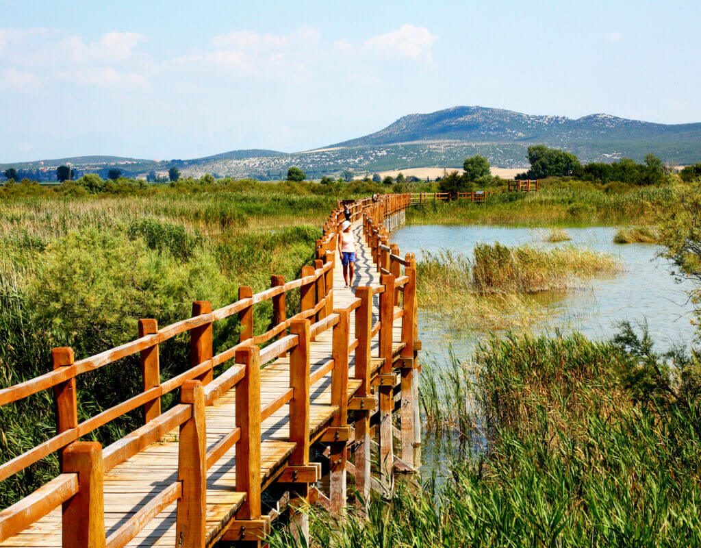 The Vransko Lake Nature Park celebrated its 21st birthday with a rich program of activities