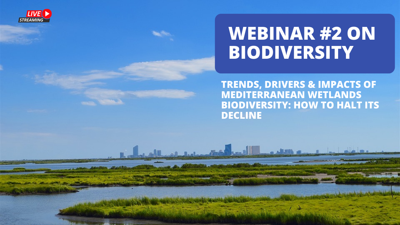 Webinar #2: Trends, drivers and impacts of Mediterranean wetlands biodiversity: how to halt its decline?