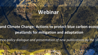 Ramsar_Webinar Wetlands & Climate Change (1)