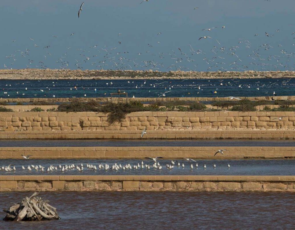 Factsheets on wetland restoration in the Mediterranean