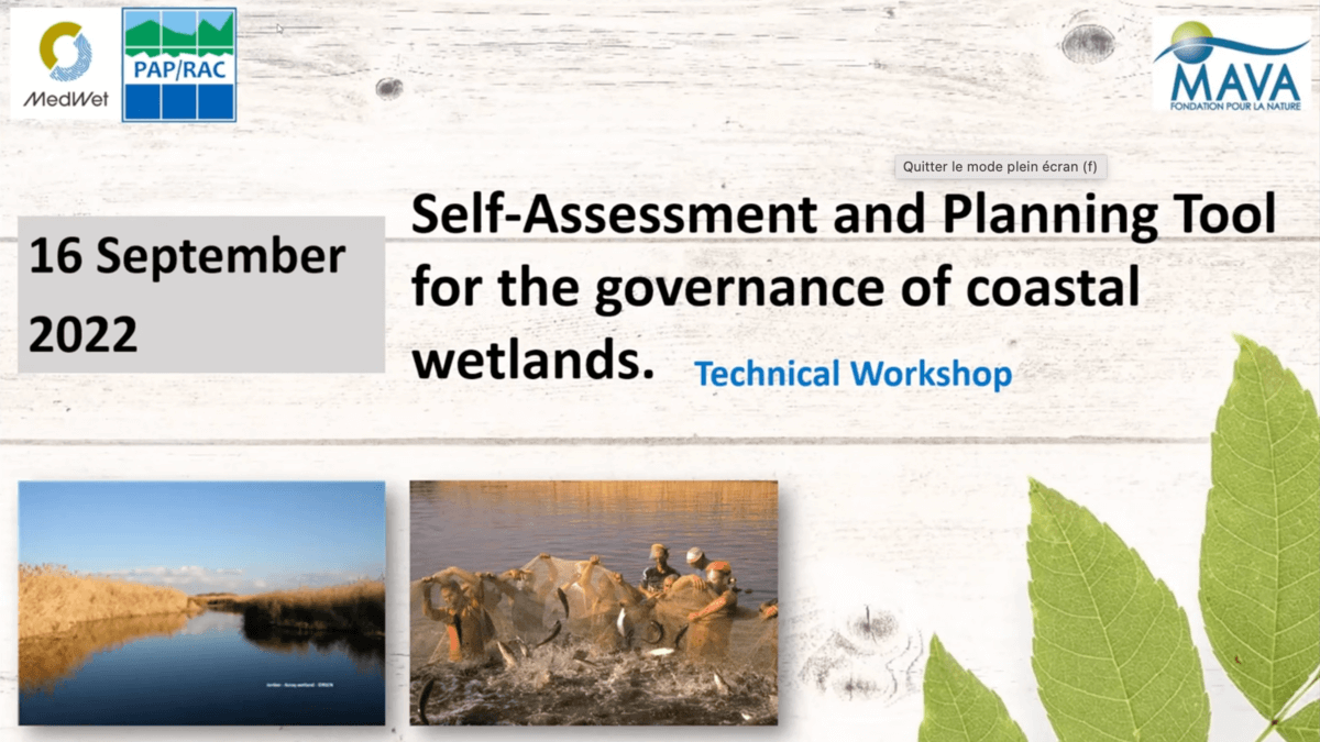 Self-Assessment and Planning tool for the governance of coastal wetlands — Technical workshop