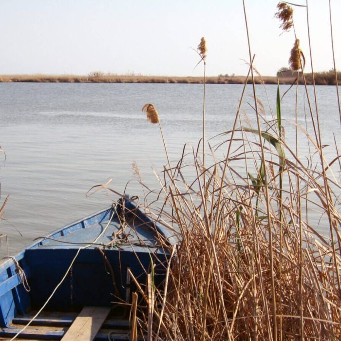 Delta_de_lEbre-by-Till-F.-Teenck-Wikimedia-commons Delta_de_lEbre-by-Till-F.-Teenck-Wikimedia-commons
