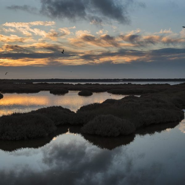 S’Ena Arrubia lagoon, ©Mirko Ugo S'Ena Arrubia lagoon, ©Mirko Ugo