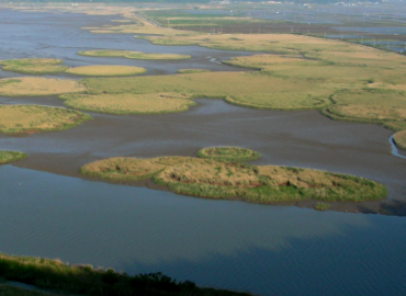 The Designation and Management of Ramsar Sites